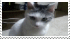 stamp: the classic meme cat omg cat, says omg