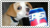 stamp: dog drinking pepsi irl